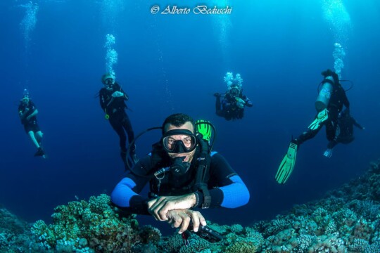 Divers Underwater in Dahab Diving