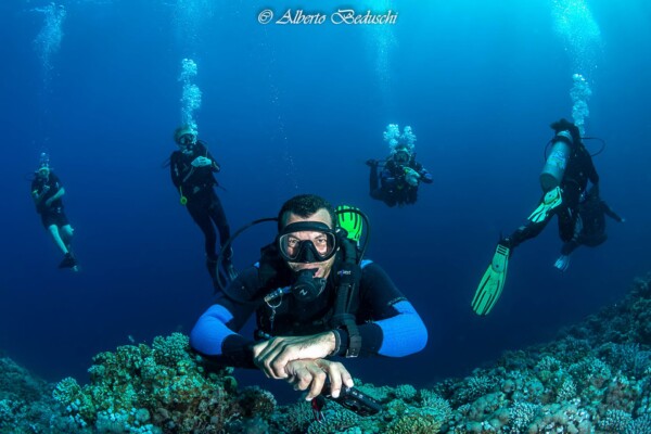 Divers Underwater in Dahab Diving