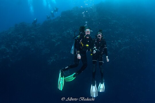 Divers Underwater in Dahab Diving