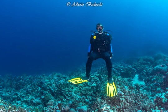 Divers Underwater in Dahab Diving
