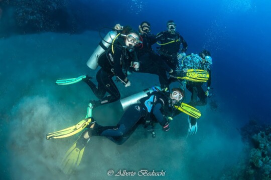 Divers Underwater in Dahab Diving