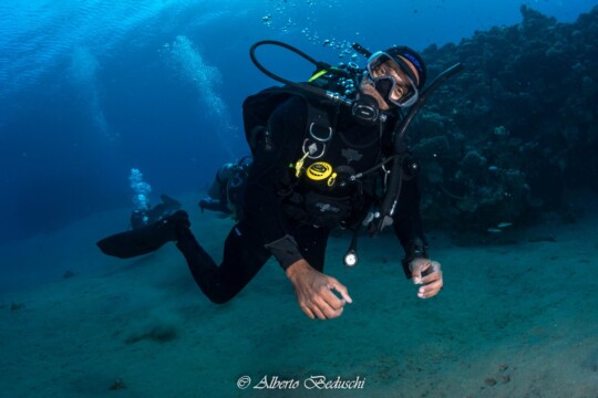 Divers Underwater in Dahab Diving