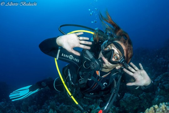Divers Underwater in Dahab Diving