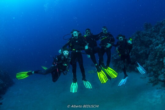 Divers Underwater in Dahab Diving