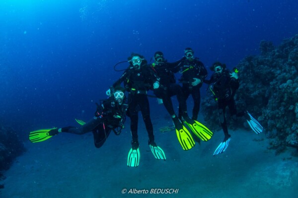 Divers Underwater in Dahab Diving