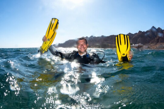Divers Underwater in Dahab Diving