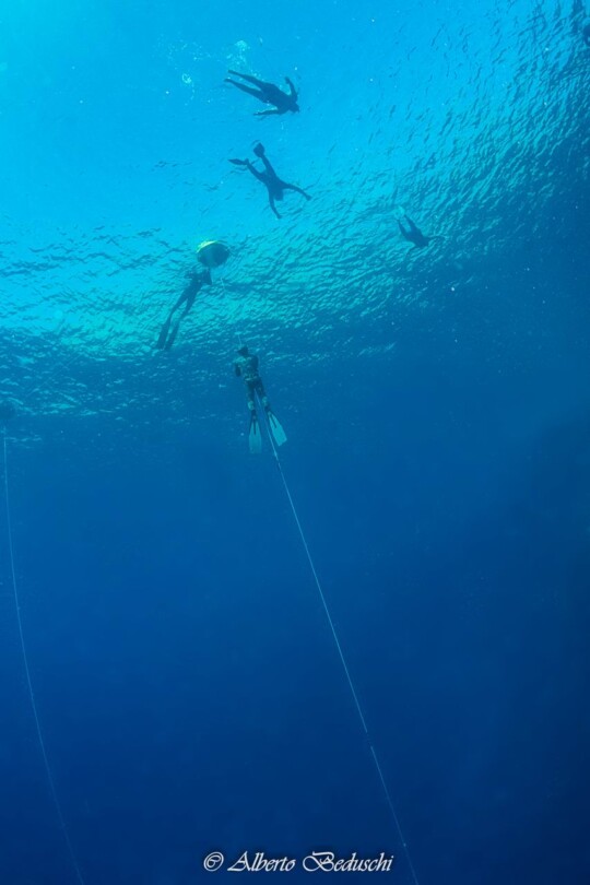 Divers Underwater in Dahab Diving
