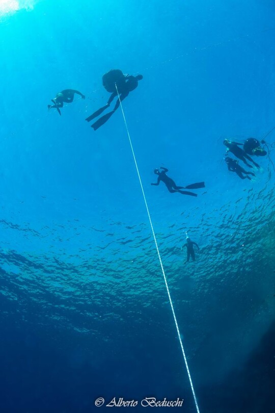 Divers Underwater in Dahab Diving