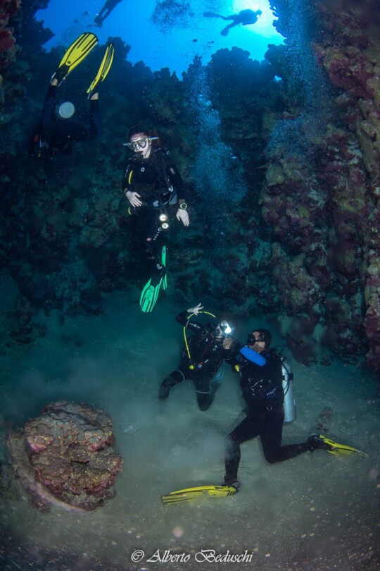 Divers Underwater in Dahab Diving