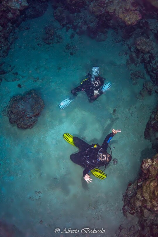 Divers Underwater in Dahab Diving