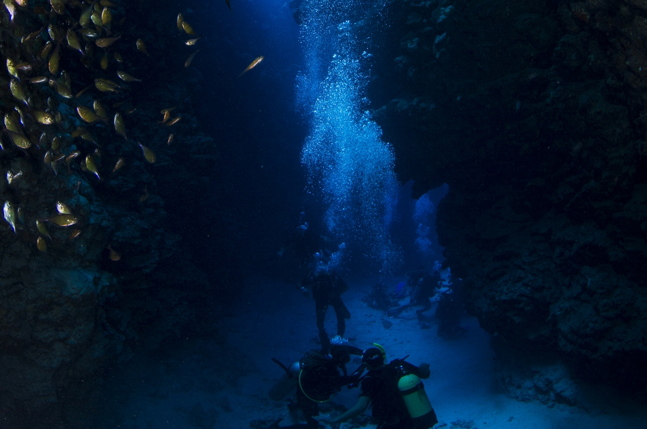 Divers Underwater in Dahab Diving