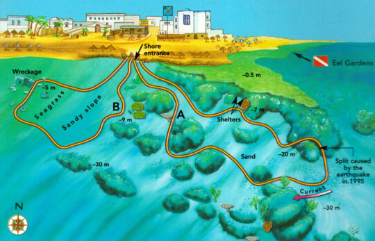 Dahab Lighthouse Reef Diving Site
