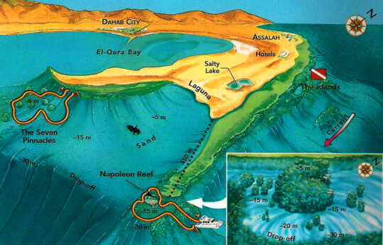 Dahab - Napoleon Reef Diving Site