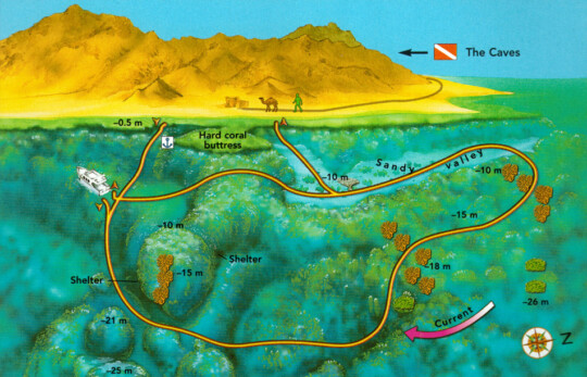Dahab North Gabr El-Bint Diving Site
