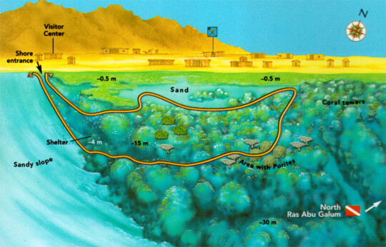 Dahab Ras -Abu-Galum Diving Site
