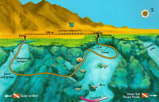 Dahab - The Caves Diving Site
