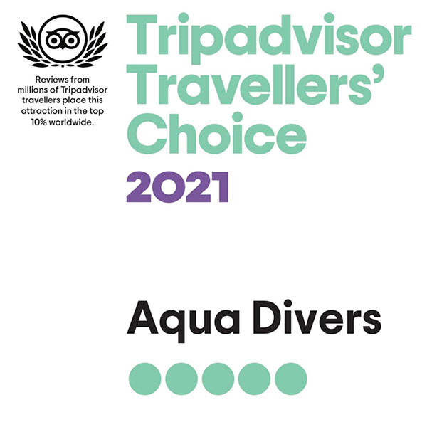 WHAT THEY SAY ABOUT US!