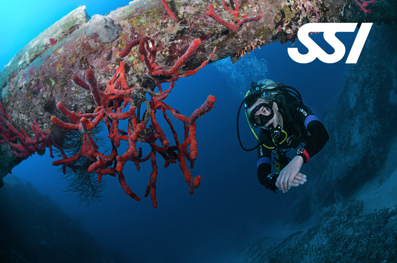 Referral & Scuba Diver Upgrade to OWD